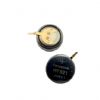 Citizen Capacitor 295-5500 with our DIY Kit